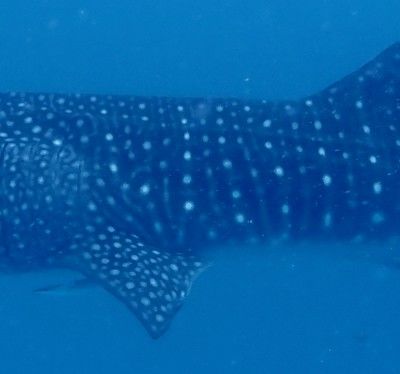 78807087-b36c-44fb-ba87-12811ba6bf68