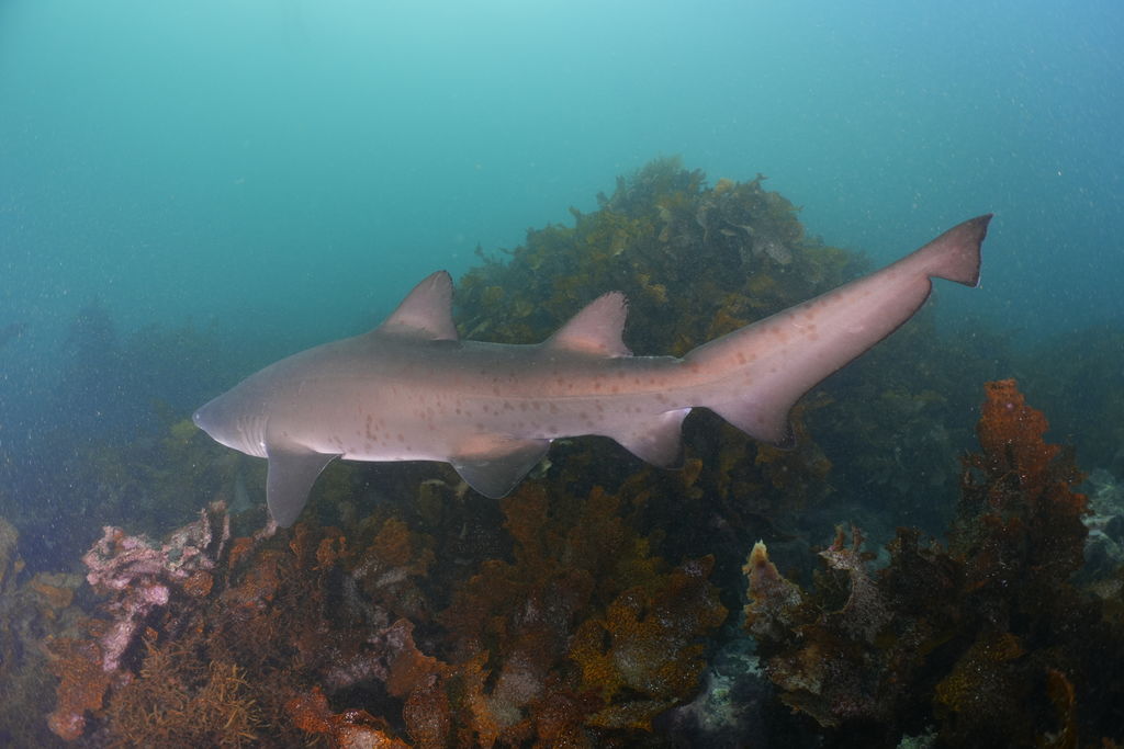 dfc1fa7f-9a71-45ab-bb48-6a5651399946