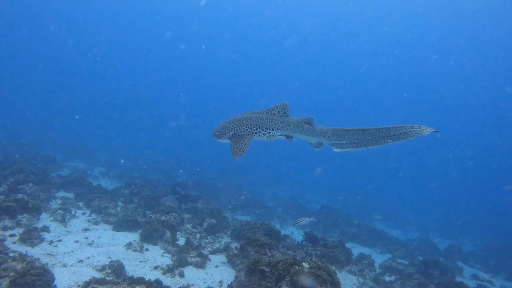 d361c636-6da0-4552-9391-00b9a2b7dfdf