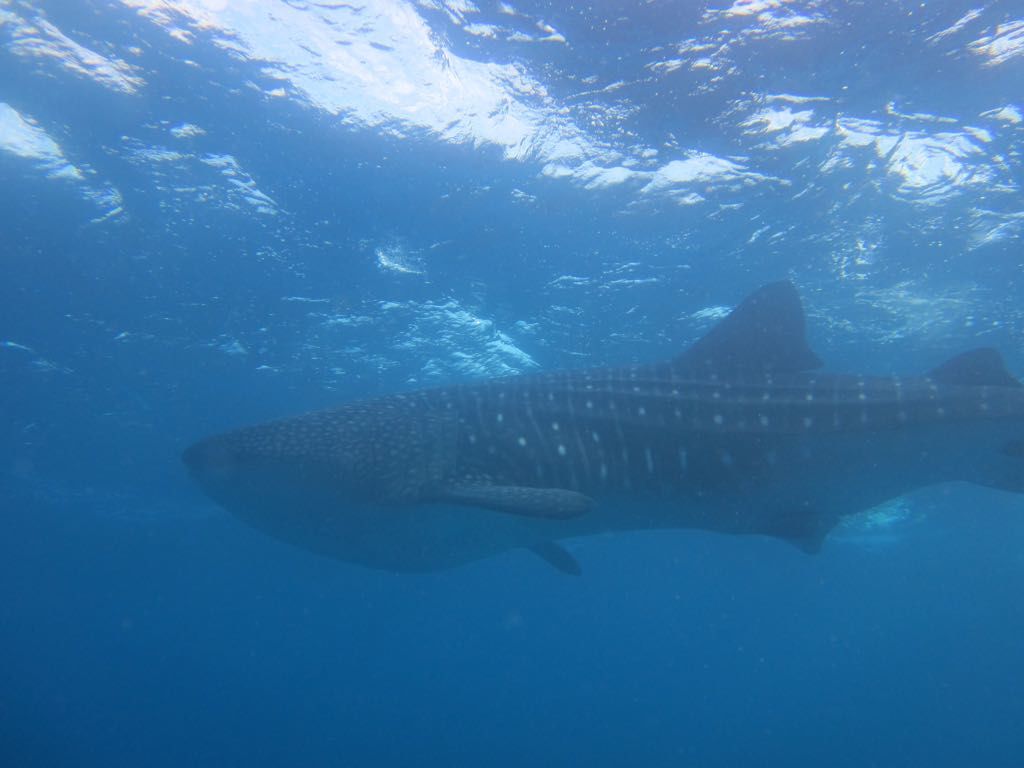 38614340-1105-4a35-a213-92cbc5a085c1