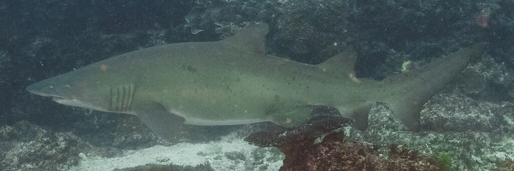 c6ded635-e47f-4c55-a1f8-ec607e723e3c