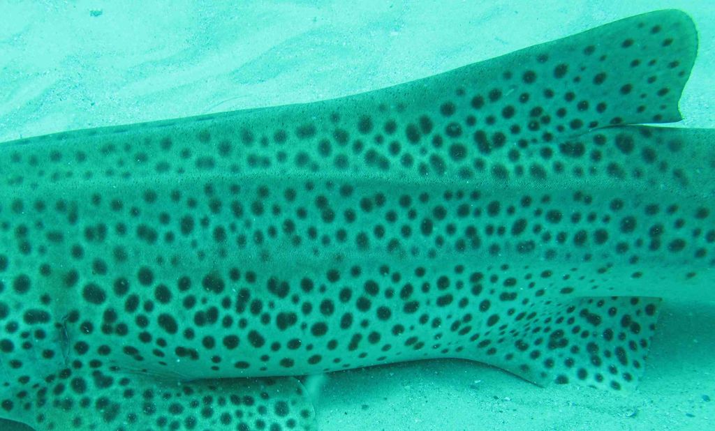 69fae4bb-8d4b-40fd-92d9-a3ecf3e741f9