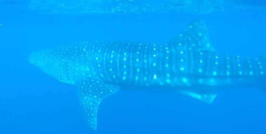 dfae3ab6-3502-4583-9d56-121d9143b5d3