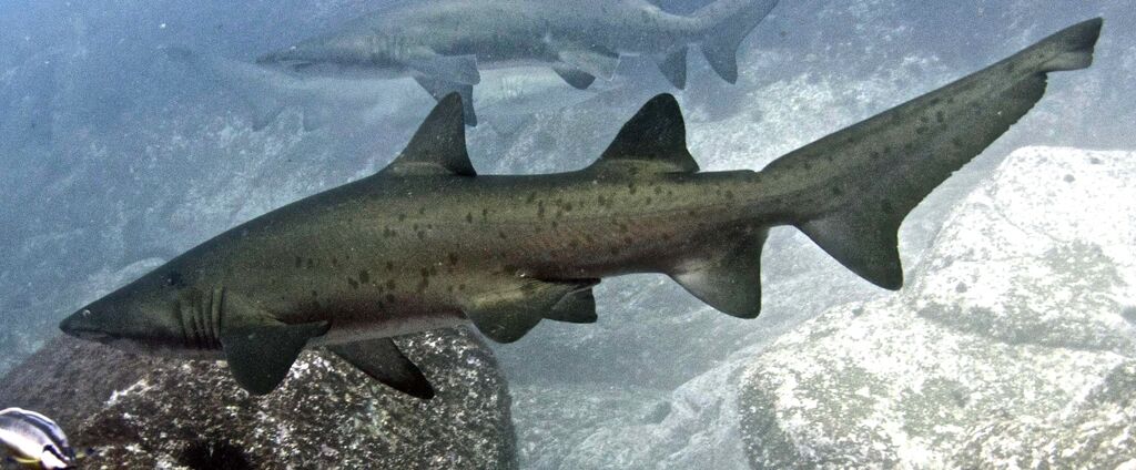 a7a22f37-5079-43c6-afbb-35325b012001