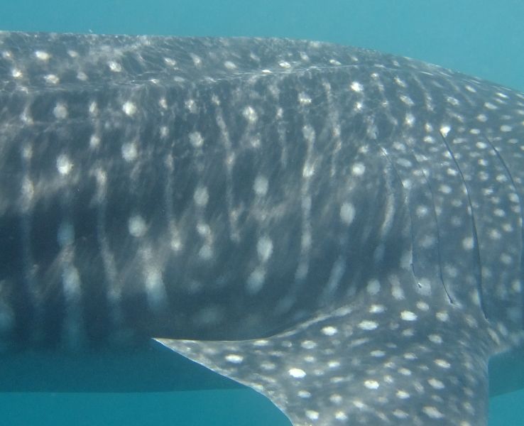 6e0e677b-a2e2-498b-a9b0-3a09ffadb892