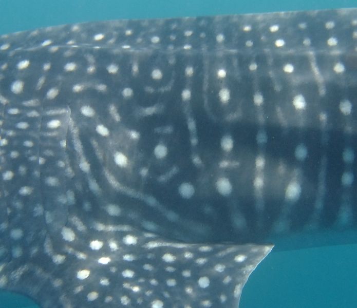 6e0e677b-a2e2-498b-a9b0-3a09ffadb892