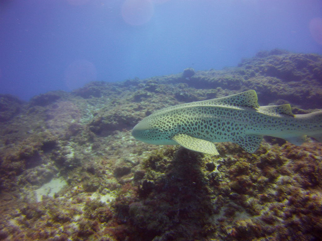 a8c0a623-ba24-474b-a92e-fce3210d4813