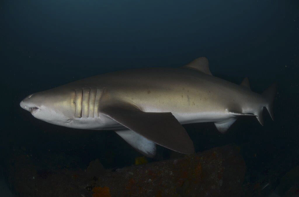 63205406-2151-4c08-9629-ba2507f53f3f