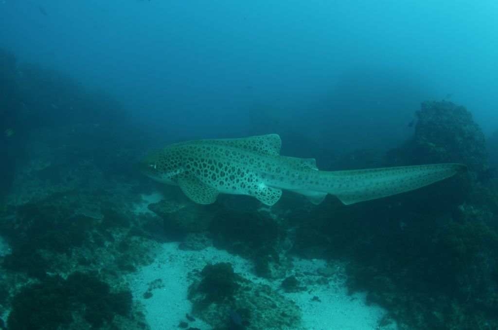 583bec27-1e01-46d2-8c31-4f0bbdb24d9b