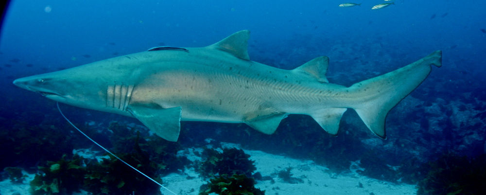 11dbc3d5-f0a9-4d67-9b82-ddddbdafb82d