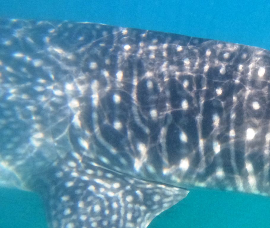 a7269452-005a-4add-892a-77c53a52b8c3