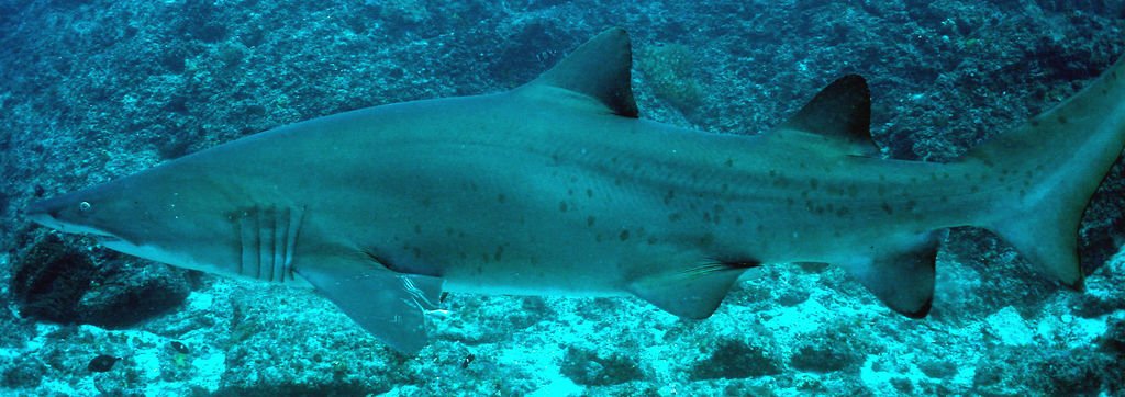 2f4e59f1-92eb-4233-8dbc-661c1b4c79db