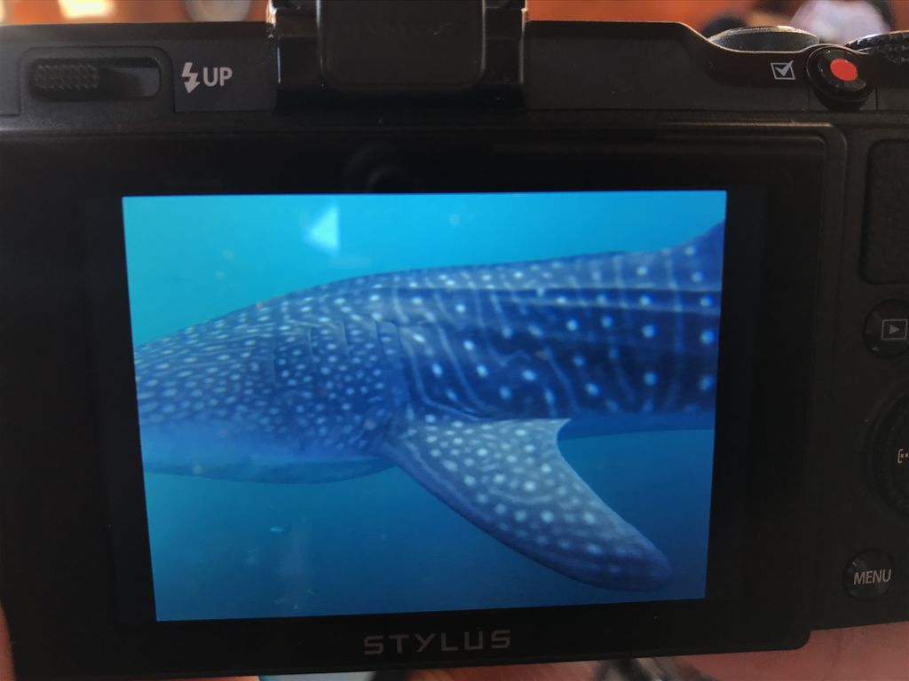 64c98d7e-bcd4-426e-af7f-cdcc0a9bf69d