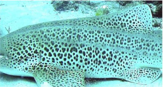 65120cdc-211a-4765-9f4c-e562a0d0b6e3