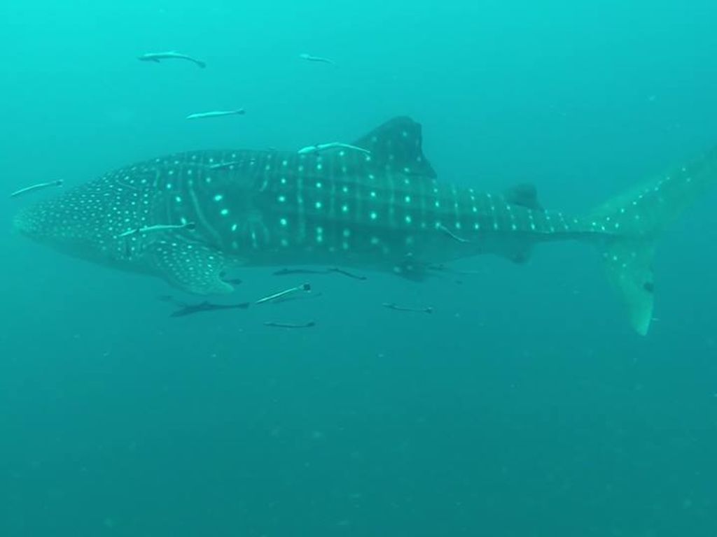 33fe810c-9eec-4f49-9743-1dfabd3d3276