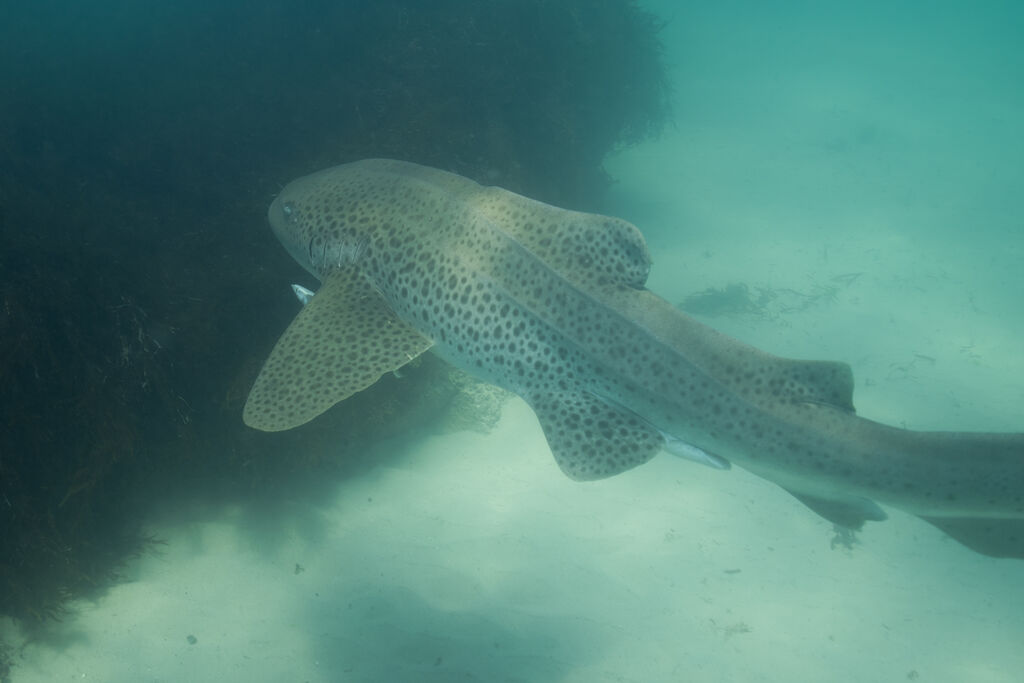 a1b97fe9-07c5-4189-8425-3d209f1a7847