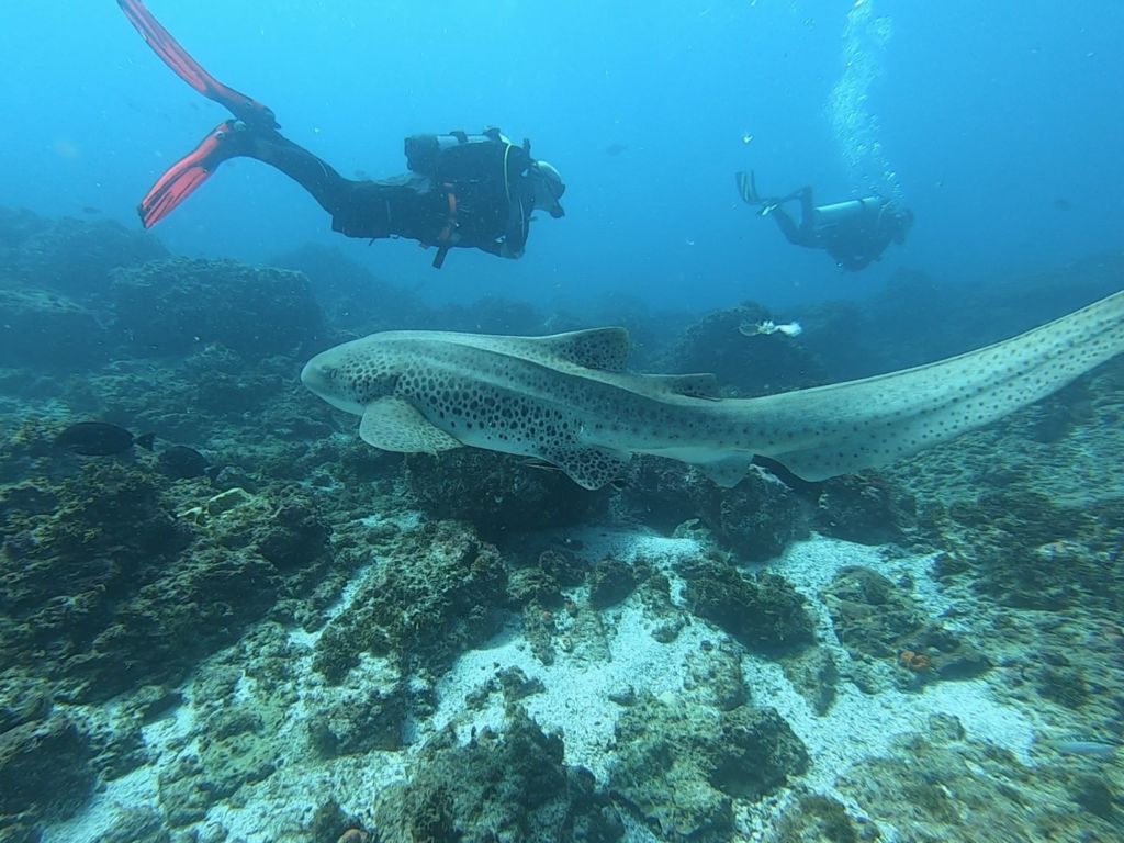 f6483acc-1f26-4608-80ae-9cc8a54744e9