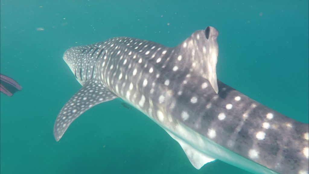 8673150f-d3e6-4725-9dfe-4394aa1bd410