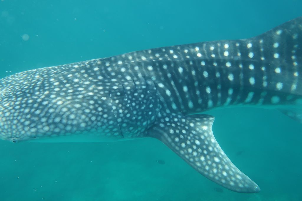 8673150f-d3e6-4725-9dfe-4394aa1bd410