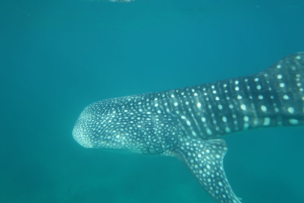 8673150f-d3e6-4725-9dfe-4394aa1bd410