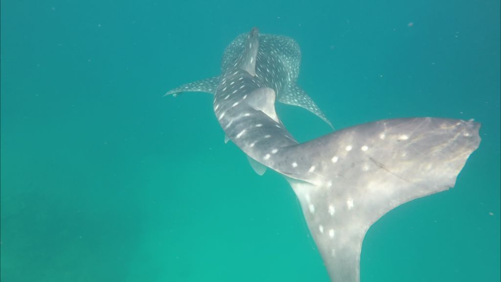 8673150f-d3e6-4725-9dfe-4394aa1bd410