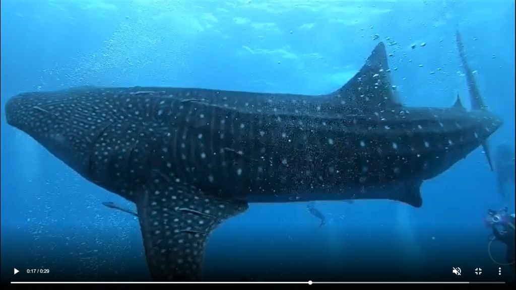 381de5e1-5300-4dfc-b21f-7d51cbe20fea