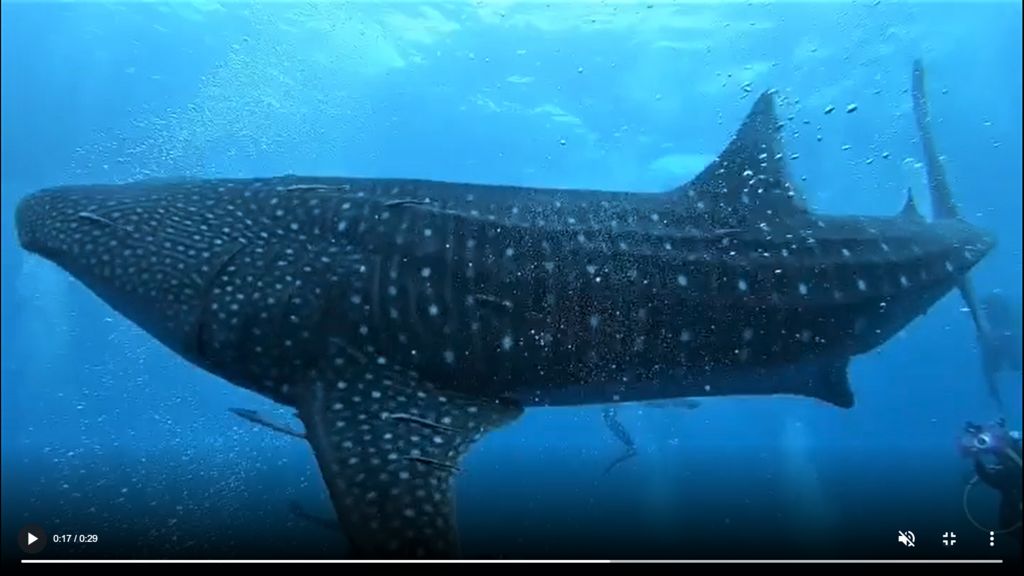 381de5e1-5300-4dfc-b21f-7d51cbe20fea