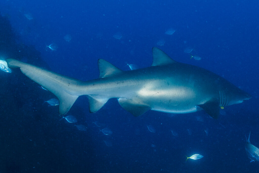 7639a2ce-3b7a-4de5-be53-25bab87428bb