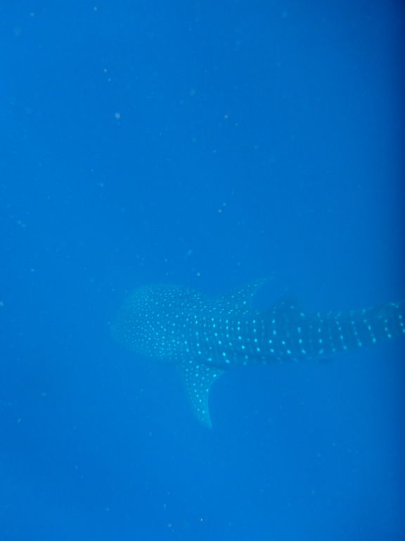 4d80c9c3-d9ed-4911-9d3d-b8044ebf0529