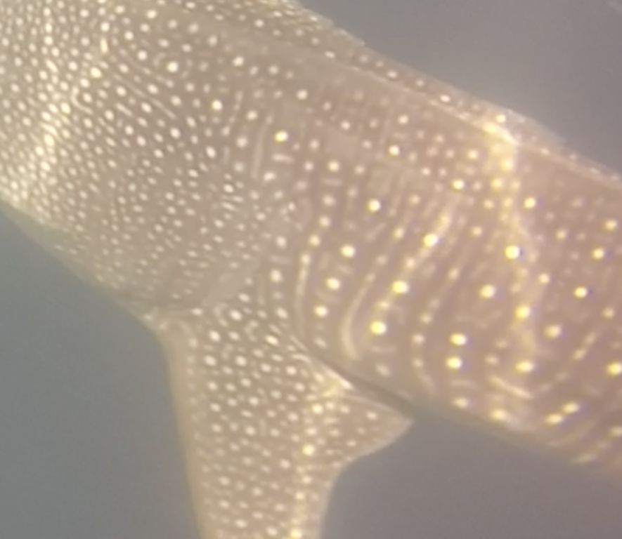 2fc95a0f-8681-455e-a549-ce564163d8a2