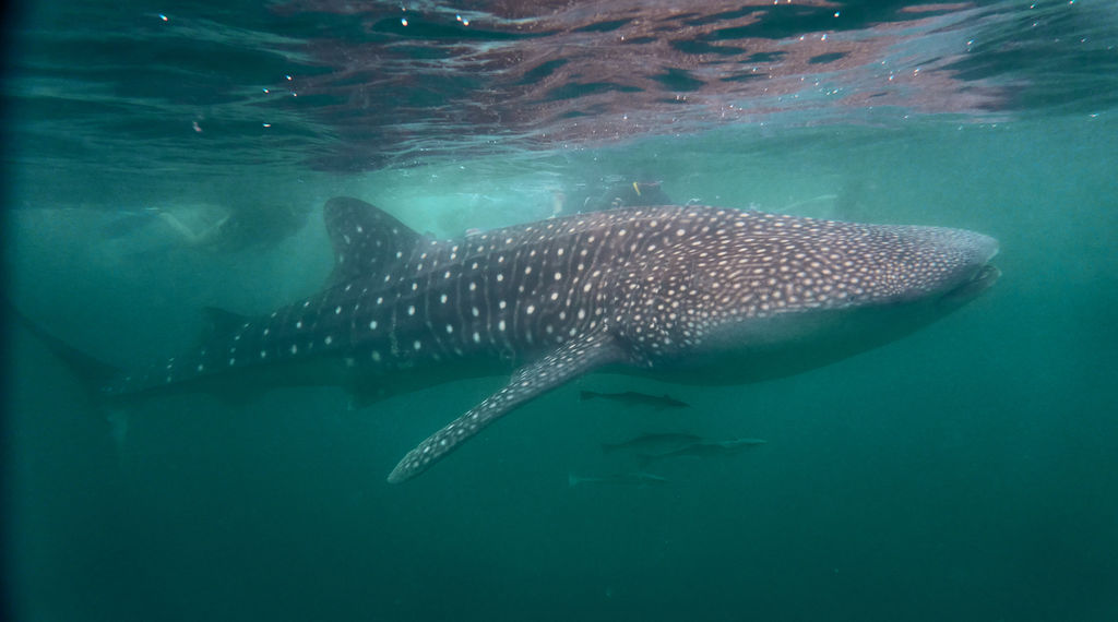 2b13b49c-fab5-4ba1-90a0-e90f3b0d7ae4