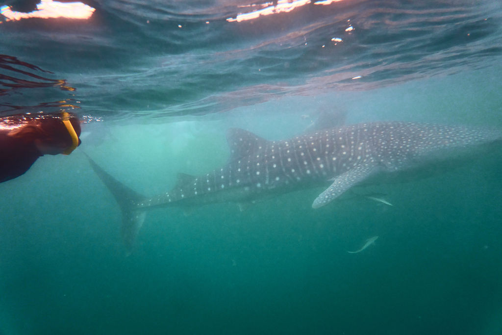 2b13b49c-fab5-4ba1-90a0-e90f3b0d7ae4