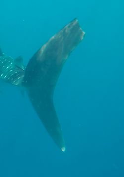 653b2804-dabe-415b-91fa-6fce3226b6fb