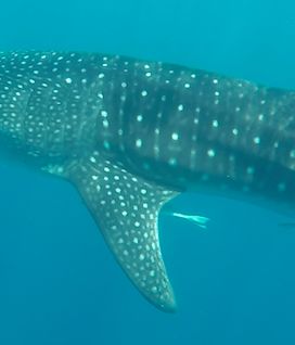 653b2804-dabe-415b-91fa-6fce3226b6fb