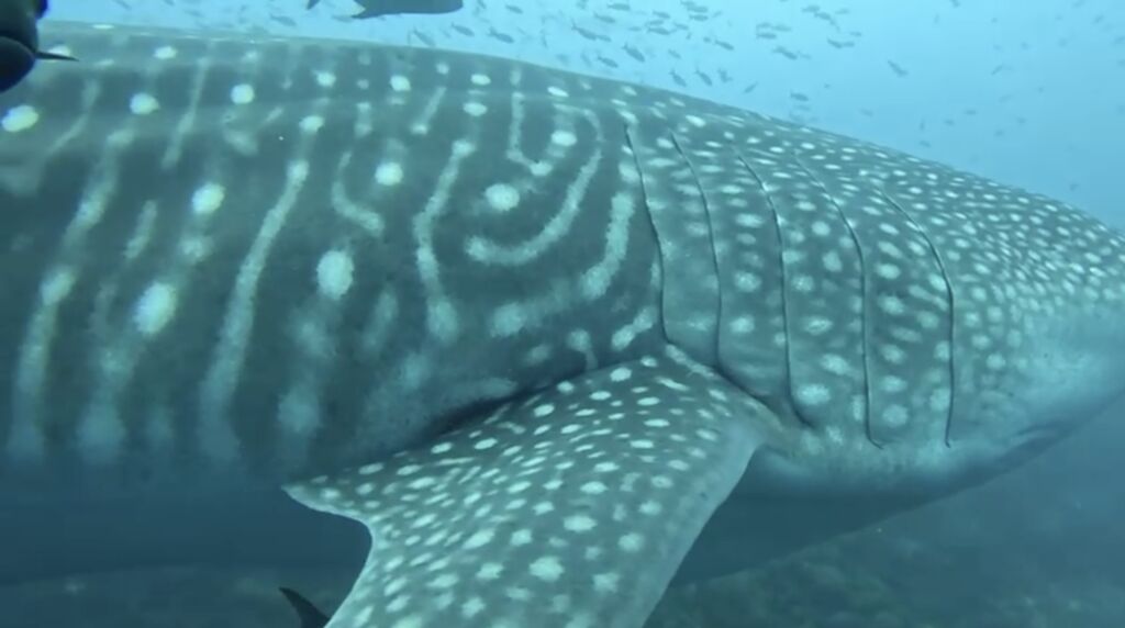 3d479272-8016-444b-97af-8b68b23d1917