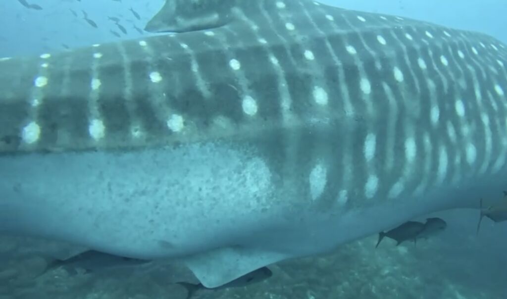 3d479272-8016-444b-97af-8b68b23d1917