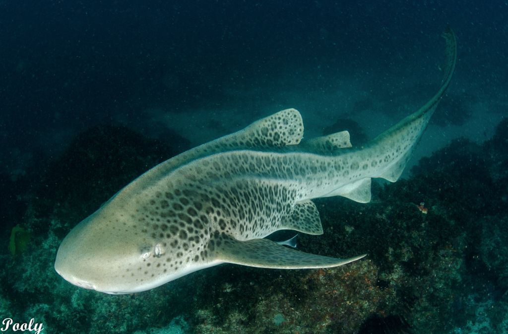 803394d6-9092-4235-a0c4-a0c88925333a