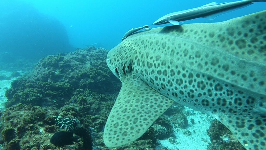 4a01f326-408e-4f97-9c90-d78b657a804a