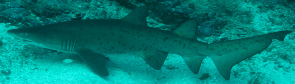 85620729-8b07-4953-8713-a06cc264ff4a