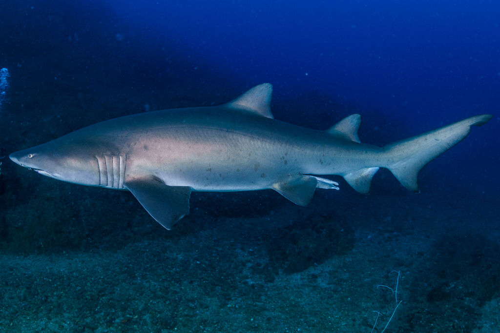 0c550c59-3192-4b17-b16d-2fd6ea6413f2