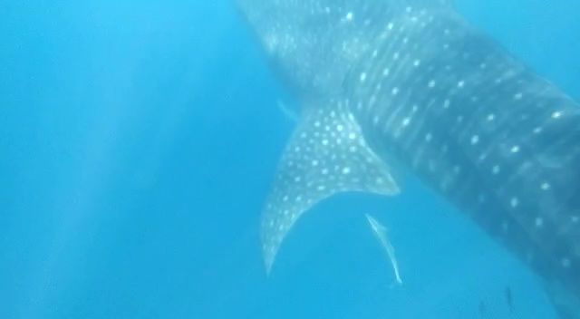 8c5265d7-ec19-4269-a783-575c439c7e3d