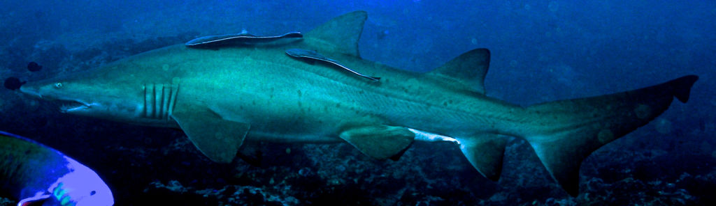 a54863b5-8773-4477-98bd-6e9abc1e7c01