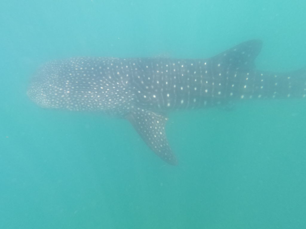 1670ceee-867f-4c4d-a07f-0669c2481785