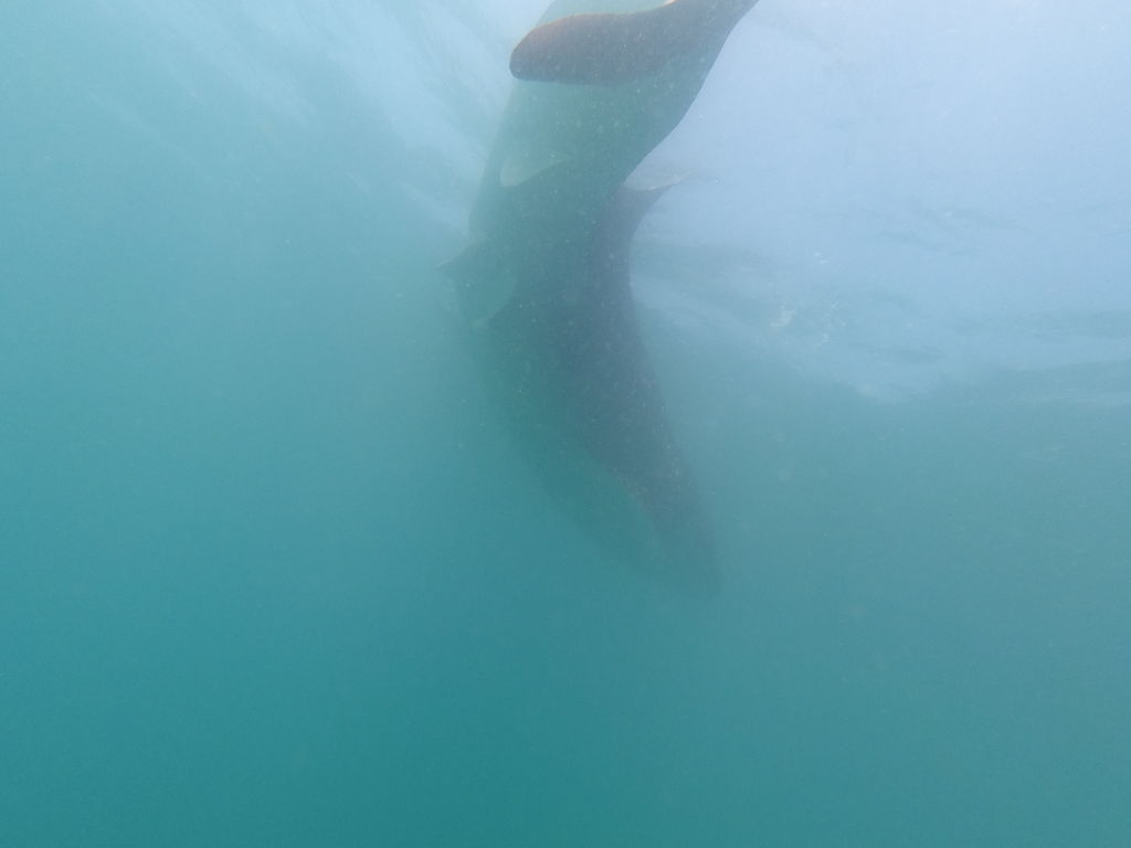 1670ceee-867f-4c4d-a07f-0669c2481785