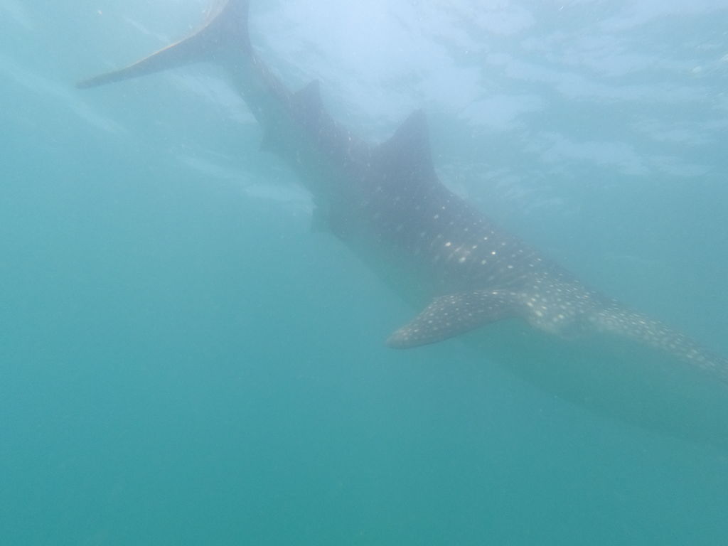 1670ceee-867f-4c4d-a07f-0669c2481785