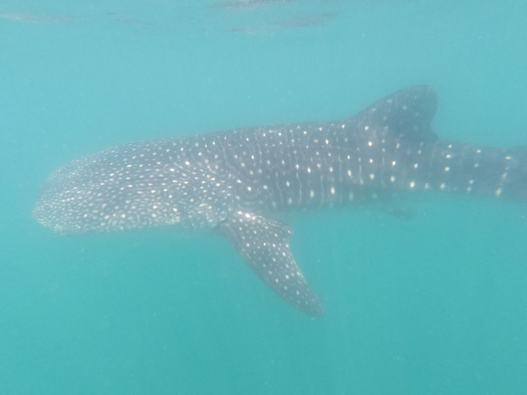 1670ceee-867f-4c4d-a07f-0669c2481785