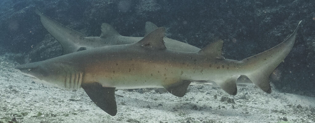 82564c2c-8107-4a07-a6d6-4faec1babbbe