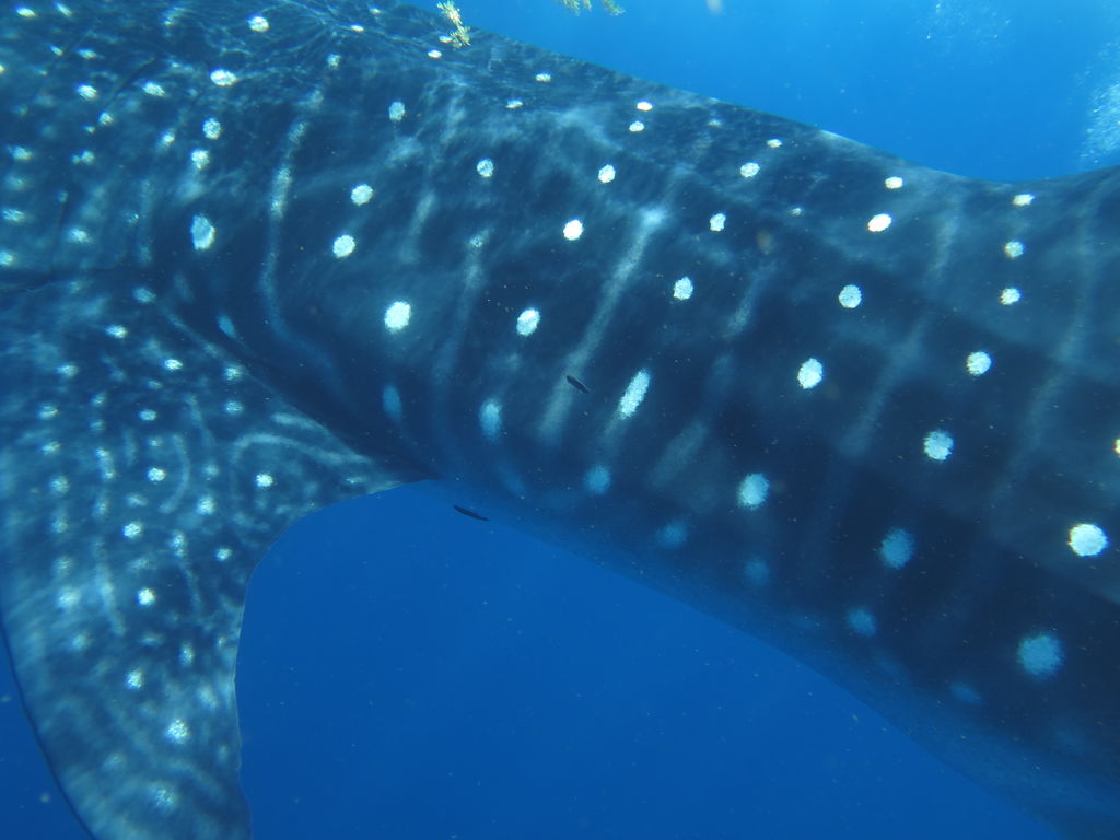 59fcdc48-9dfb-4b85-b198-001499d3d6e1