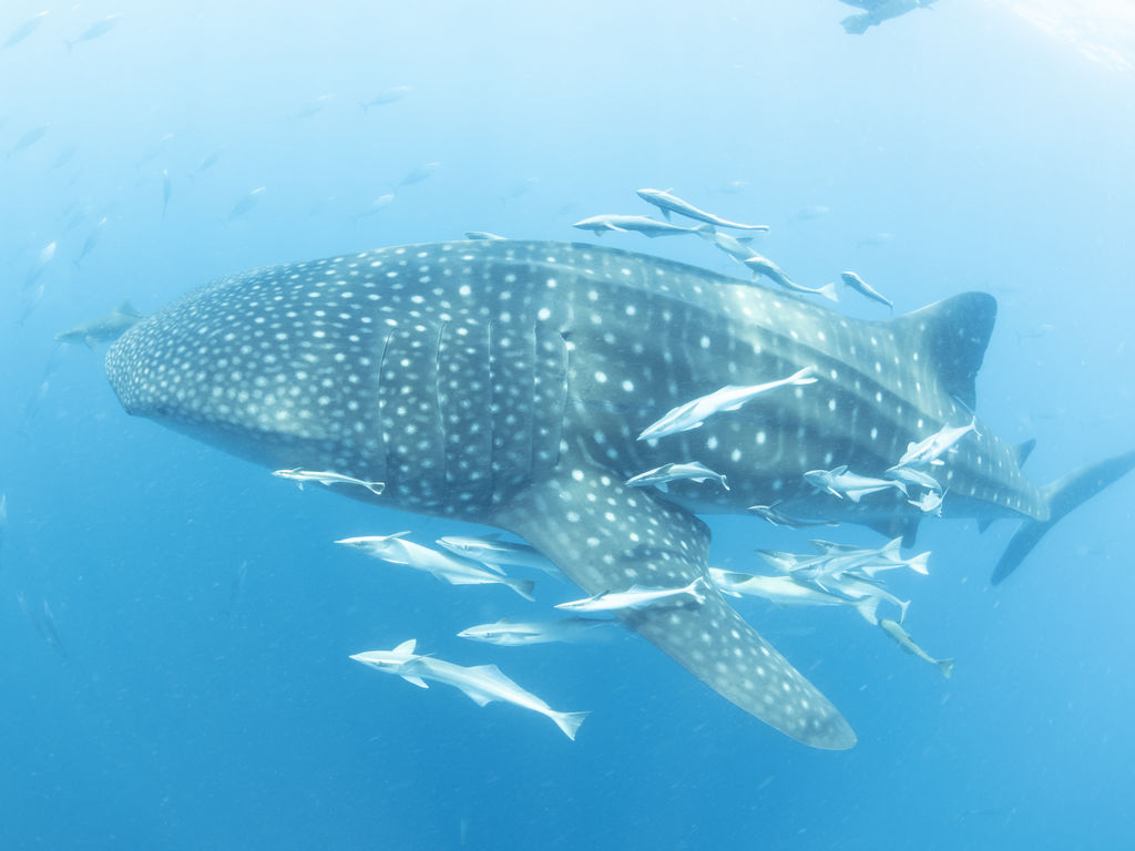 63e9fa01-0366-4bef-8be6-3dad59ab06bf