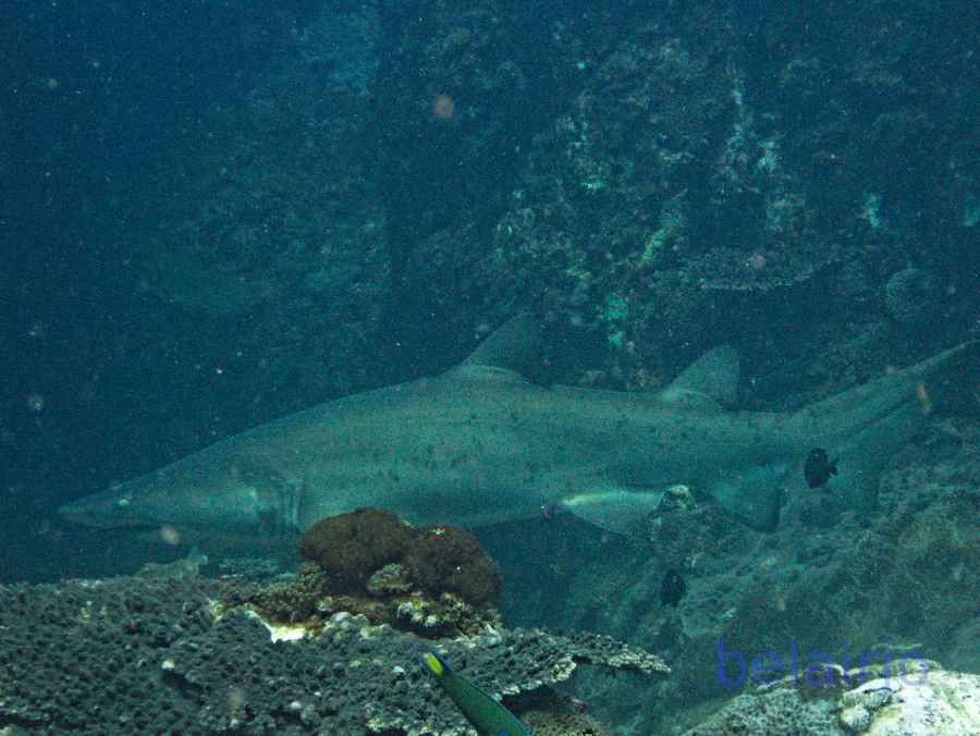 4a769c10-5cfa-46b0-a954-424f0c6a09af